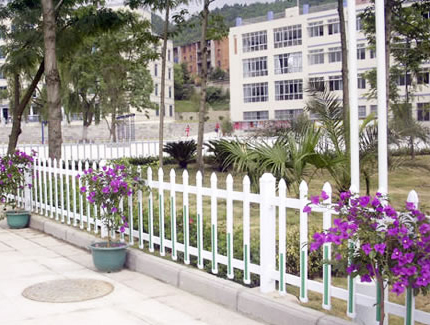 1615197305276269.jpg 22.jpg