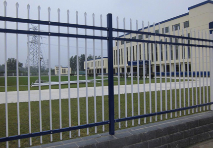 1615336453754296.jpg 22.jpg